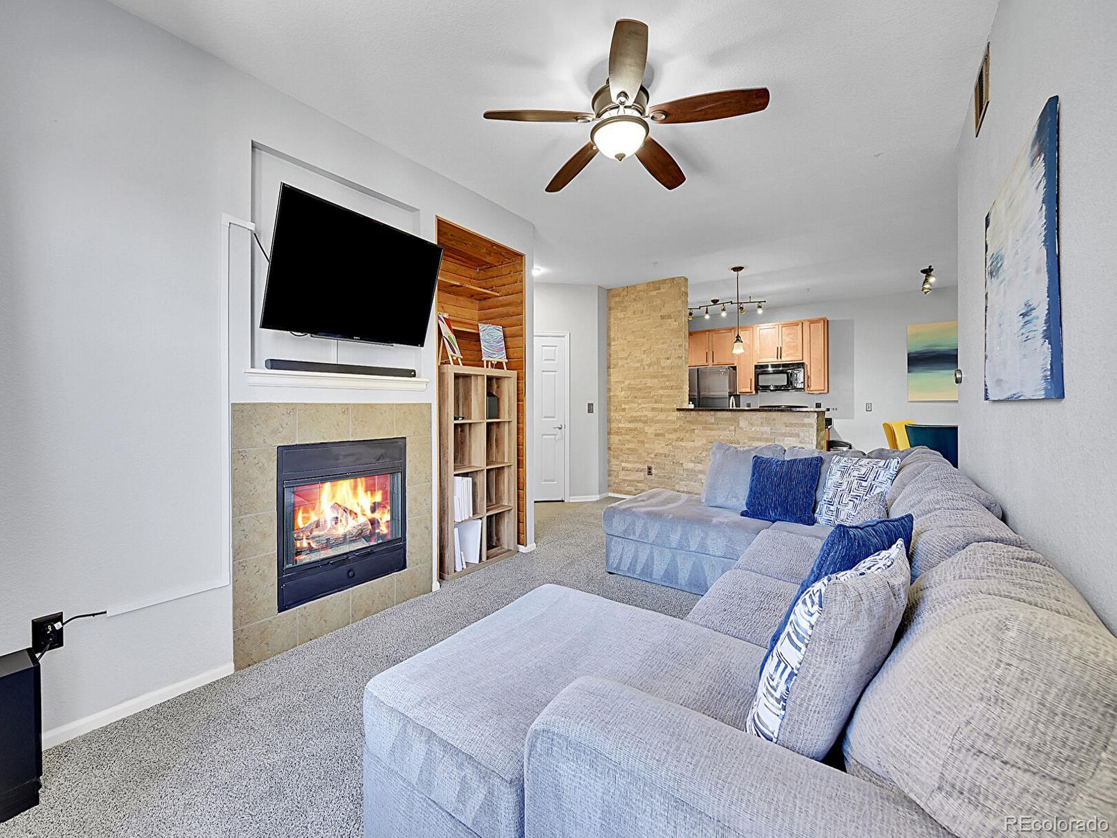 MLS Image #10 for 9142  lodestar lane,parker, Colorado