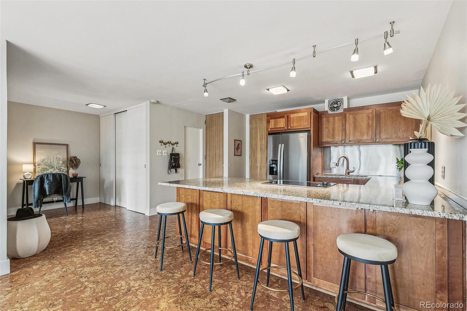 MLS Image #0 for 1050 n corona street 214,denver, Colorado