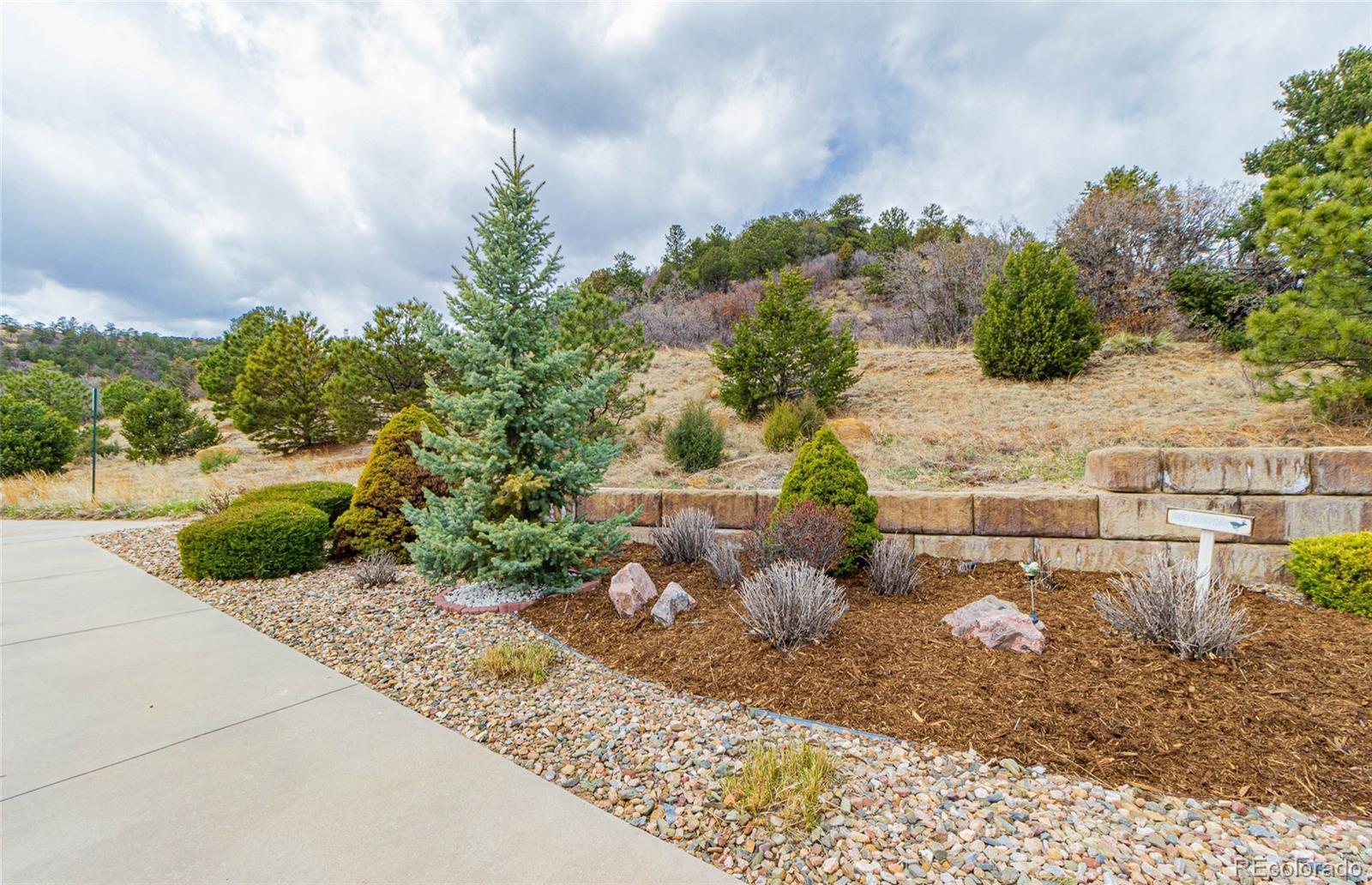 MLS Image #3 for 4441  university oaks place,colorado springs, Colorado