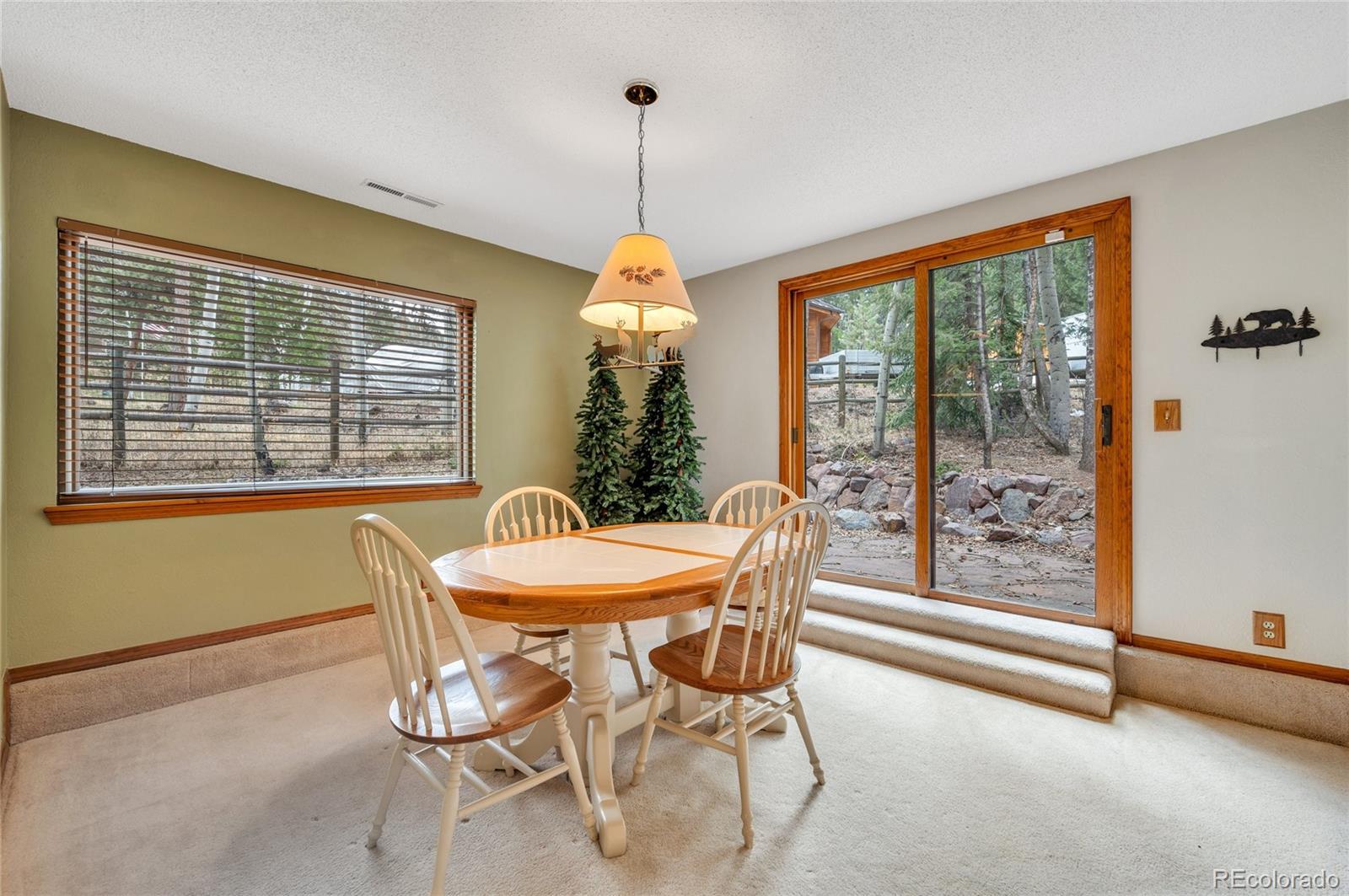 MLS Image #11 for 1231  kings crown road,woodland park, Colorado