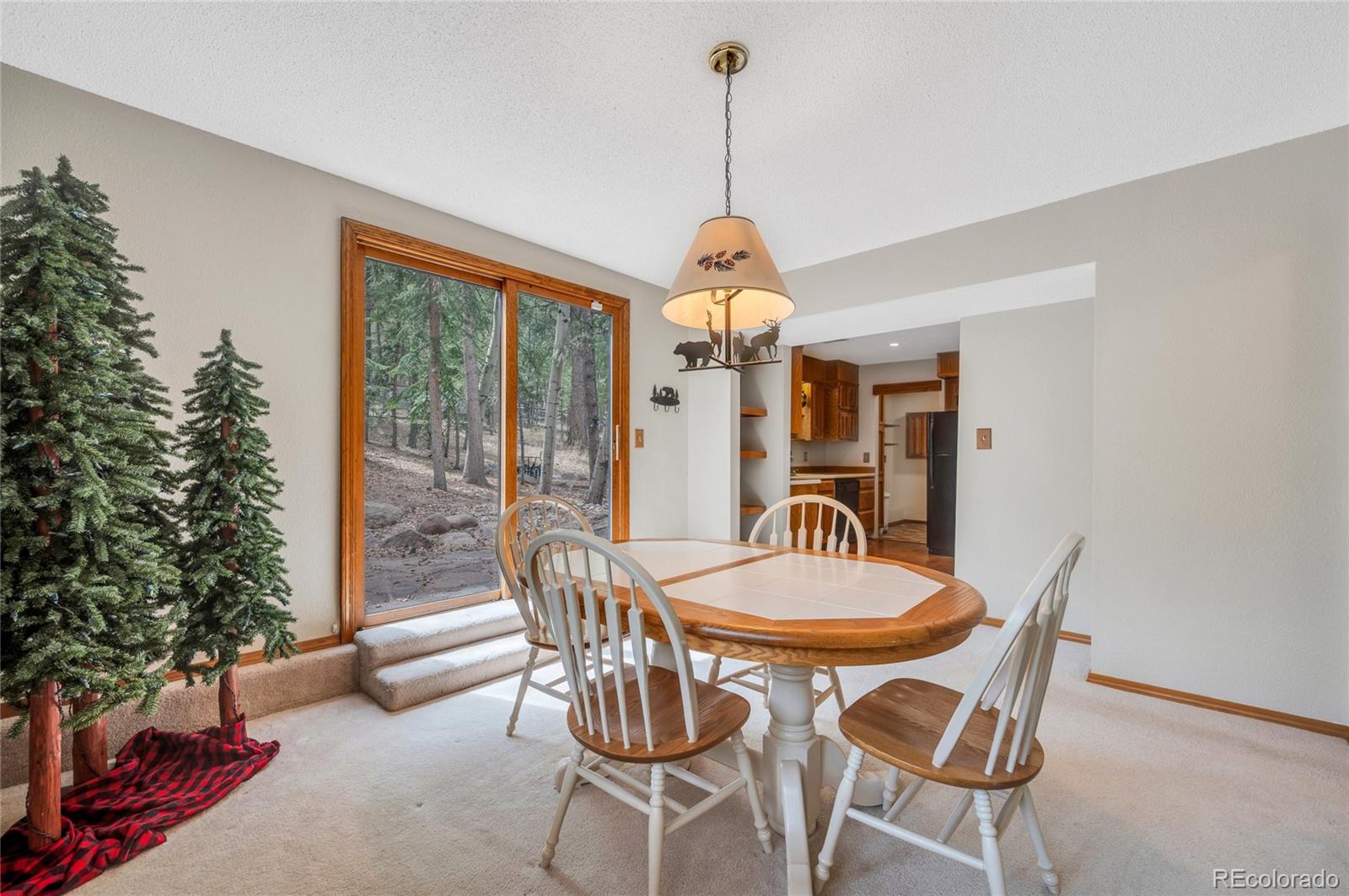 MLS Image #12 for 1231  kings crown road,woodland park, Colorado