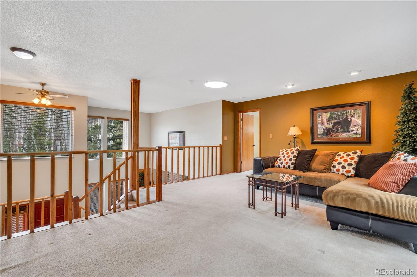 MLS Image #17 for 1231  kings crown road,woodland park, Colorado