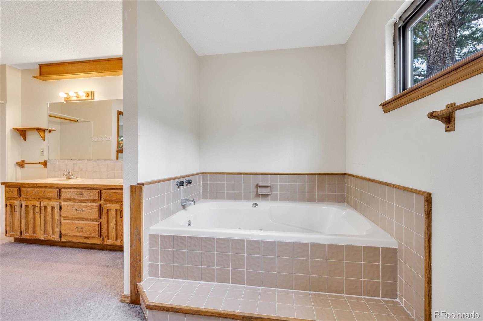 MLS Image #21 for 1231  kings crown road,woodland park, Colorado