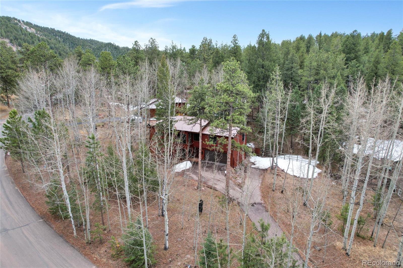 MLS Image #28 for 1231  kings crown road,woodland park, Colorado