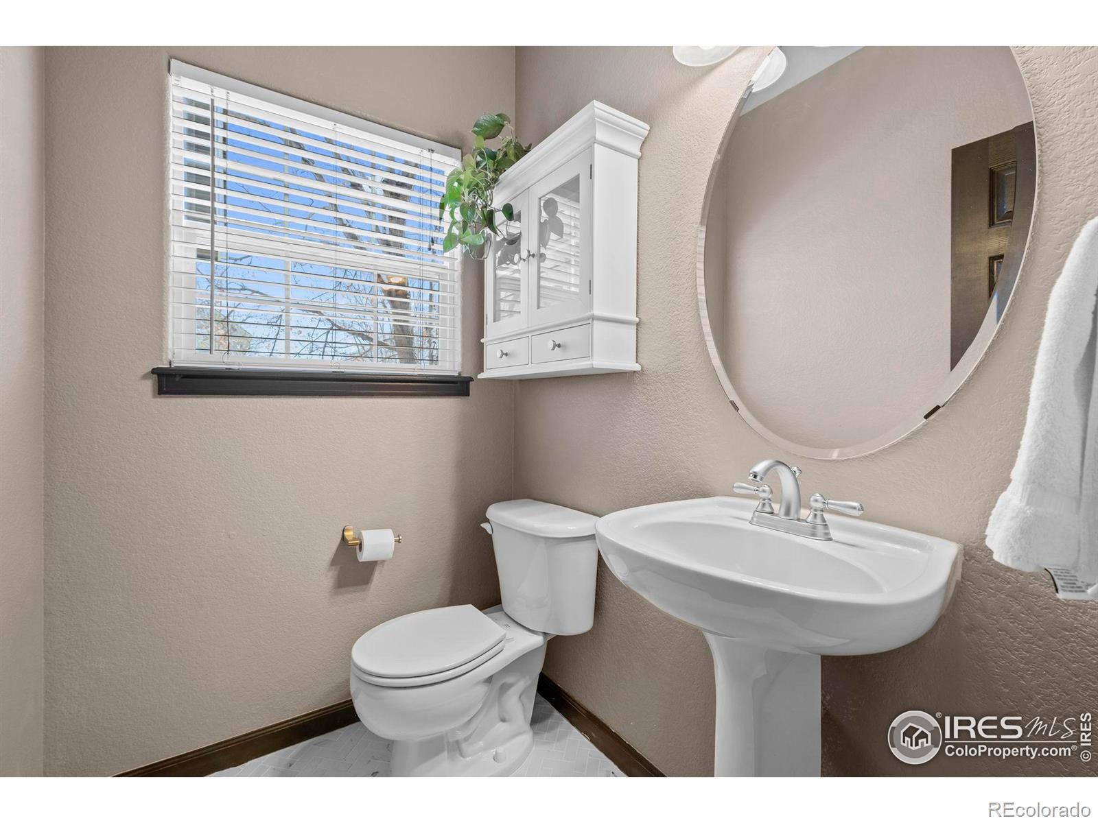 MLS Image #13 for 223  cattail court,longmont, Colorado