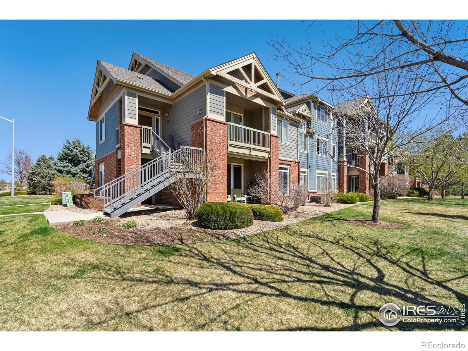 Report Image for 804  Summer Hawk Drive,Longmont, Colorado