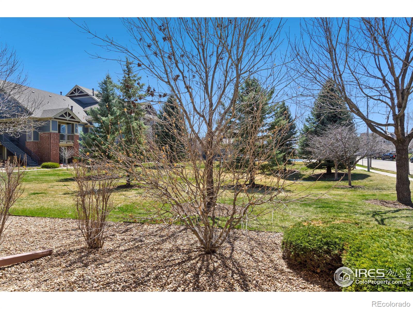 MLS Image #22 for 804  summer hawk drive,longmont, Colorado