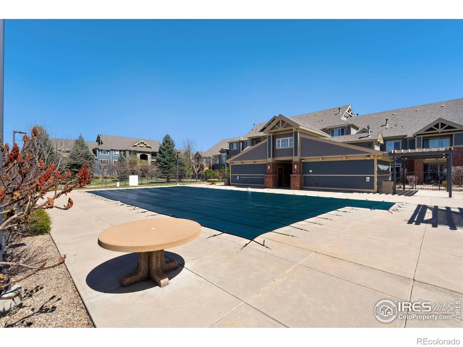 MLS Image #23 for 804  summer hawk drive,longmont, Colorado