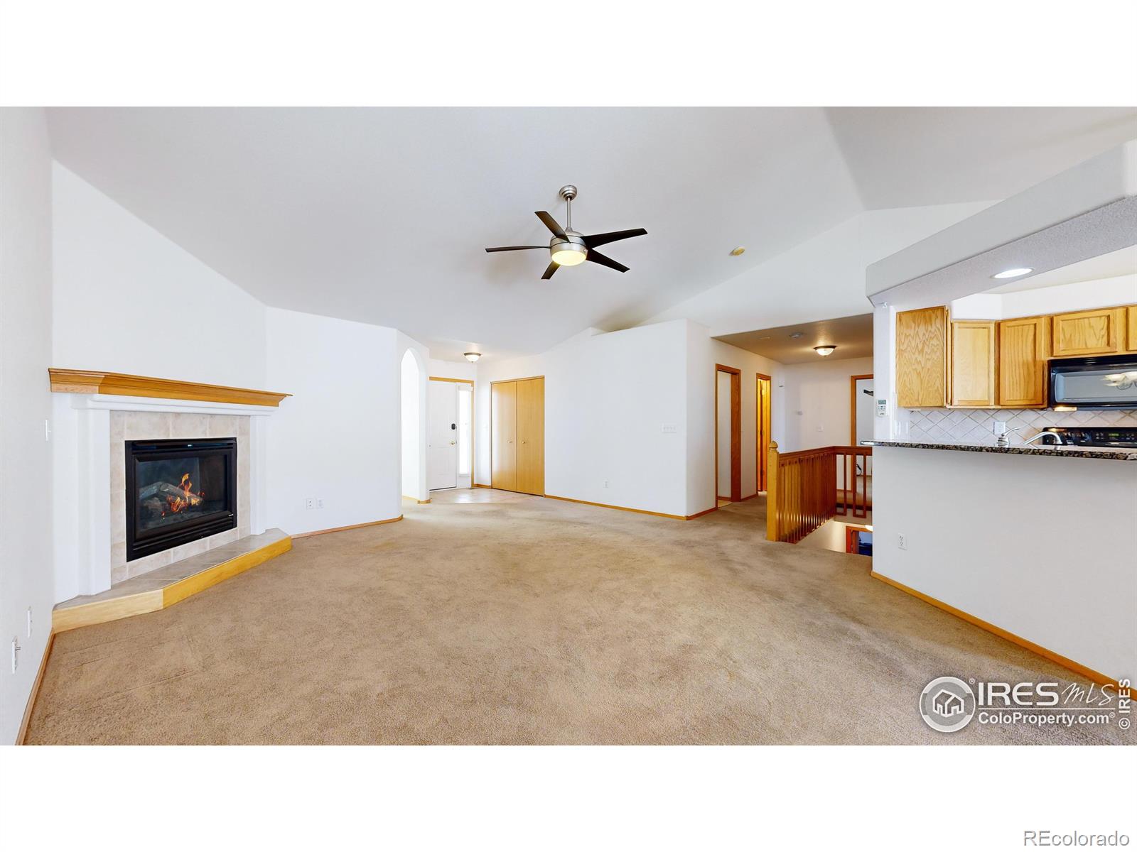 MLS Image #6 for 1514  purple sage court,fort collins, Colorado