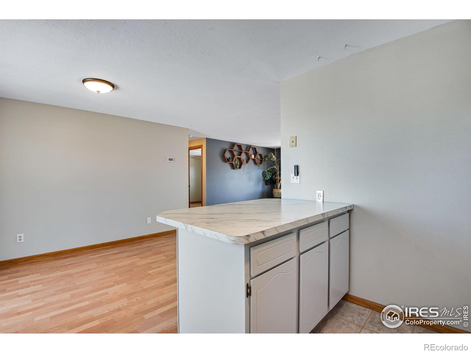 MLS Image #10 for 3017  yellow wood court,loveland, Colorado