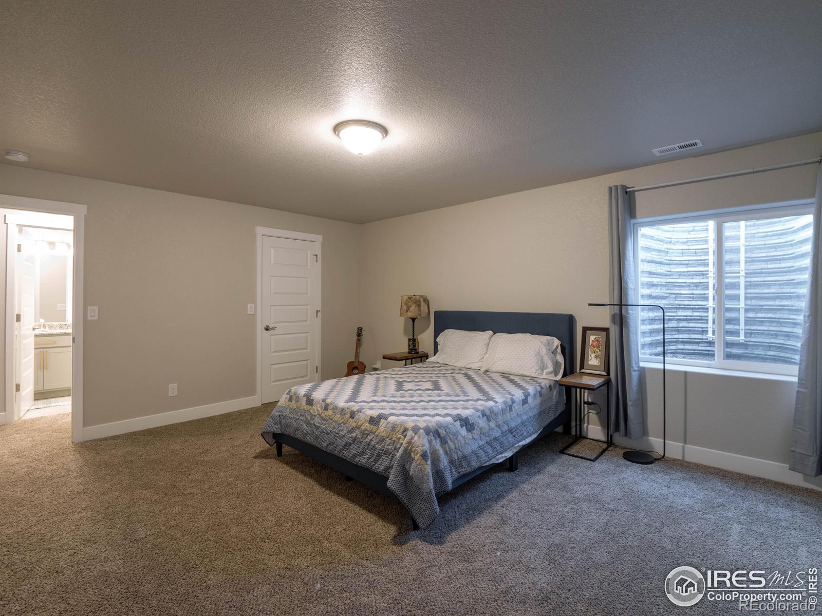 MLS Image #28 for 1740  avery plaza street,severance, Colorado