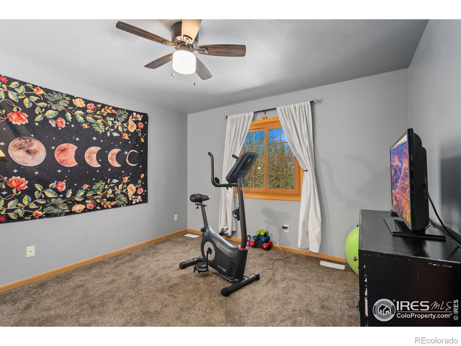 MLS Image #14 for 5036  sawhill drive,fort collins, Colorado