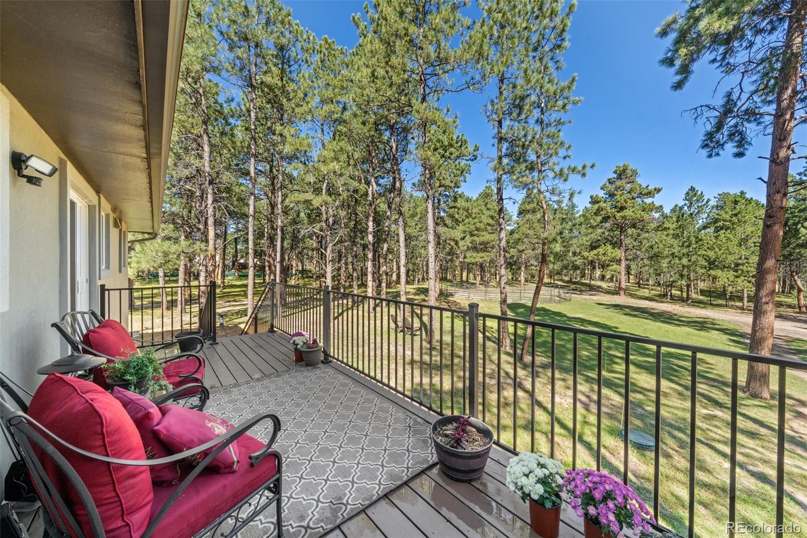 MLS Image #38 for 10870  hardy road,colorado springs, Colorado