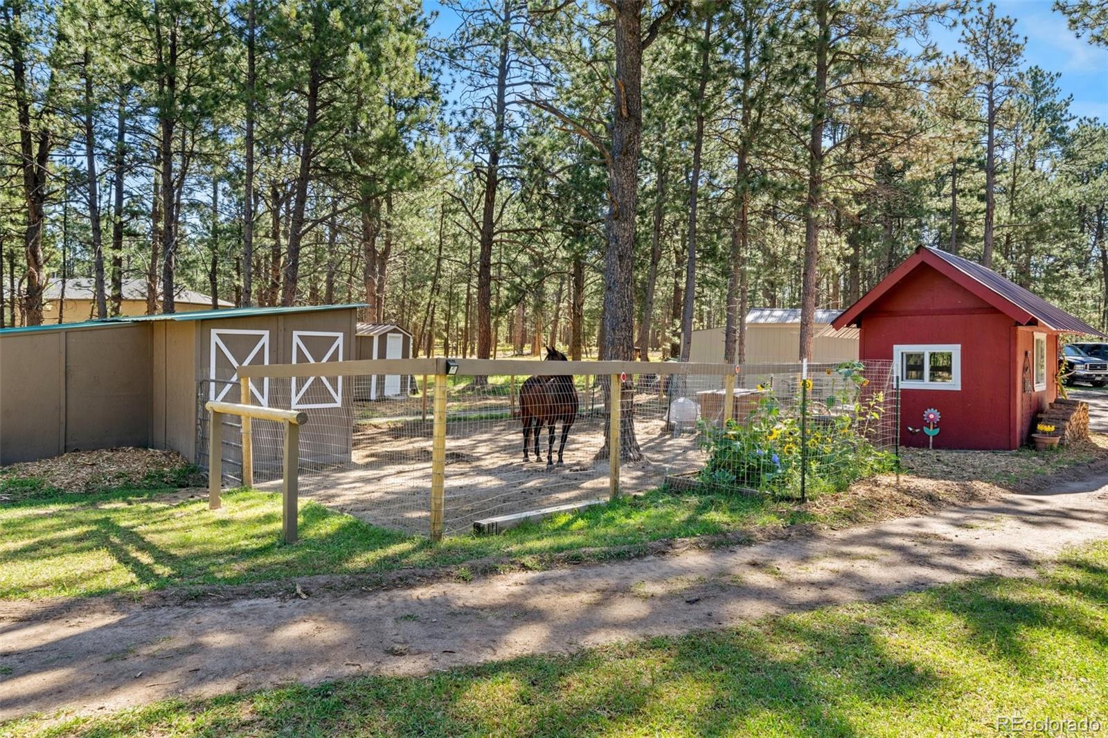 MLS Image #44 for 10870  hardy road,colorado springs, Colorado