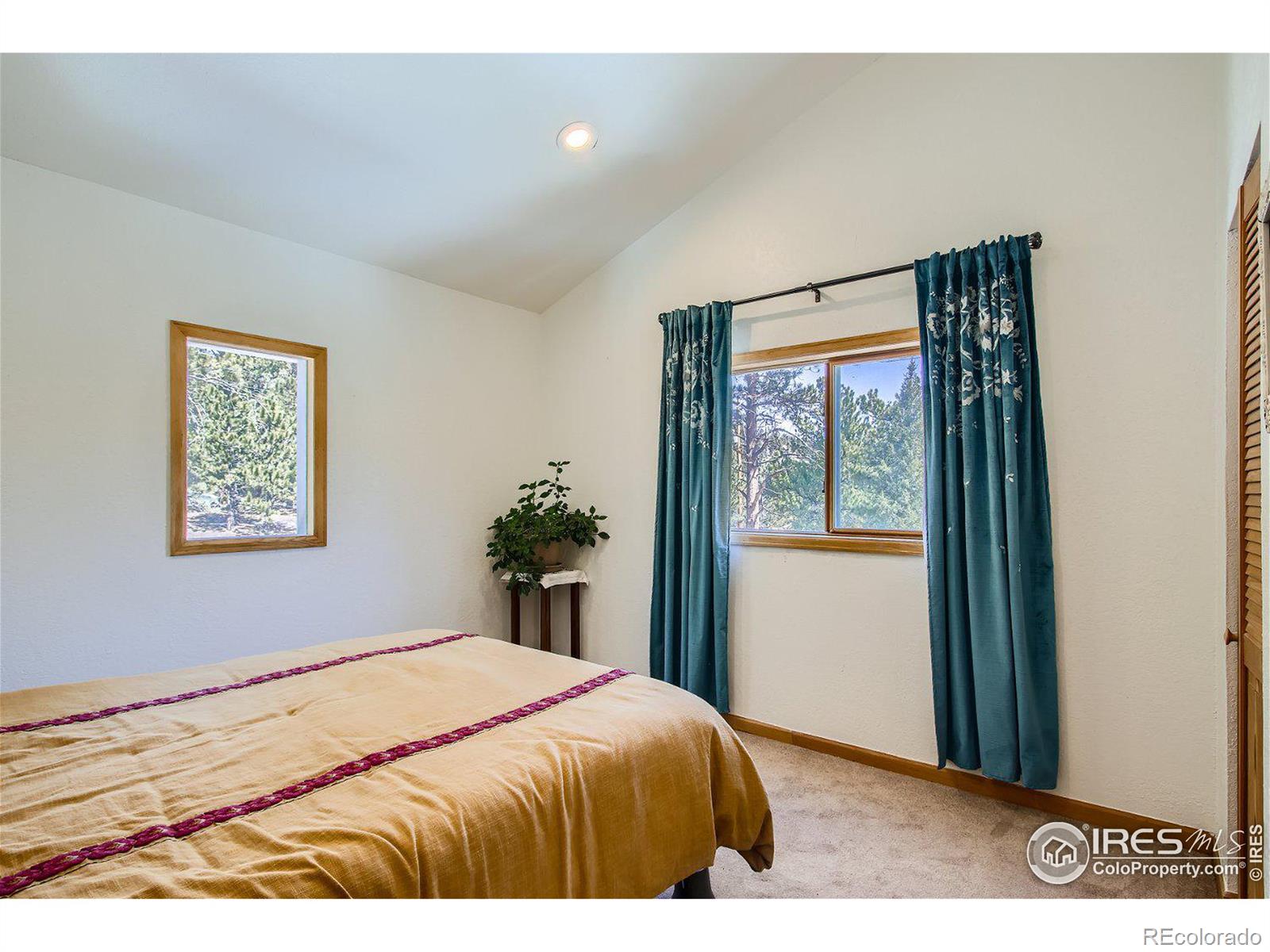 MLS Image #18 for 207  cumberland gap road,nederland, Colorado