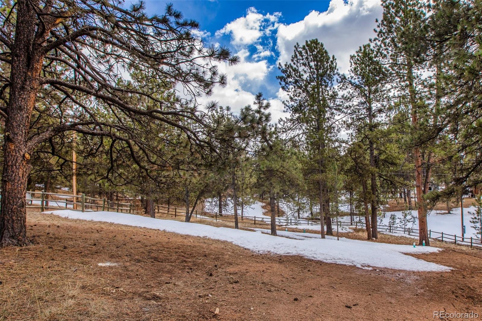 MLS Image #3 for 26  homestead lane,florissant, Colorado