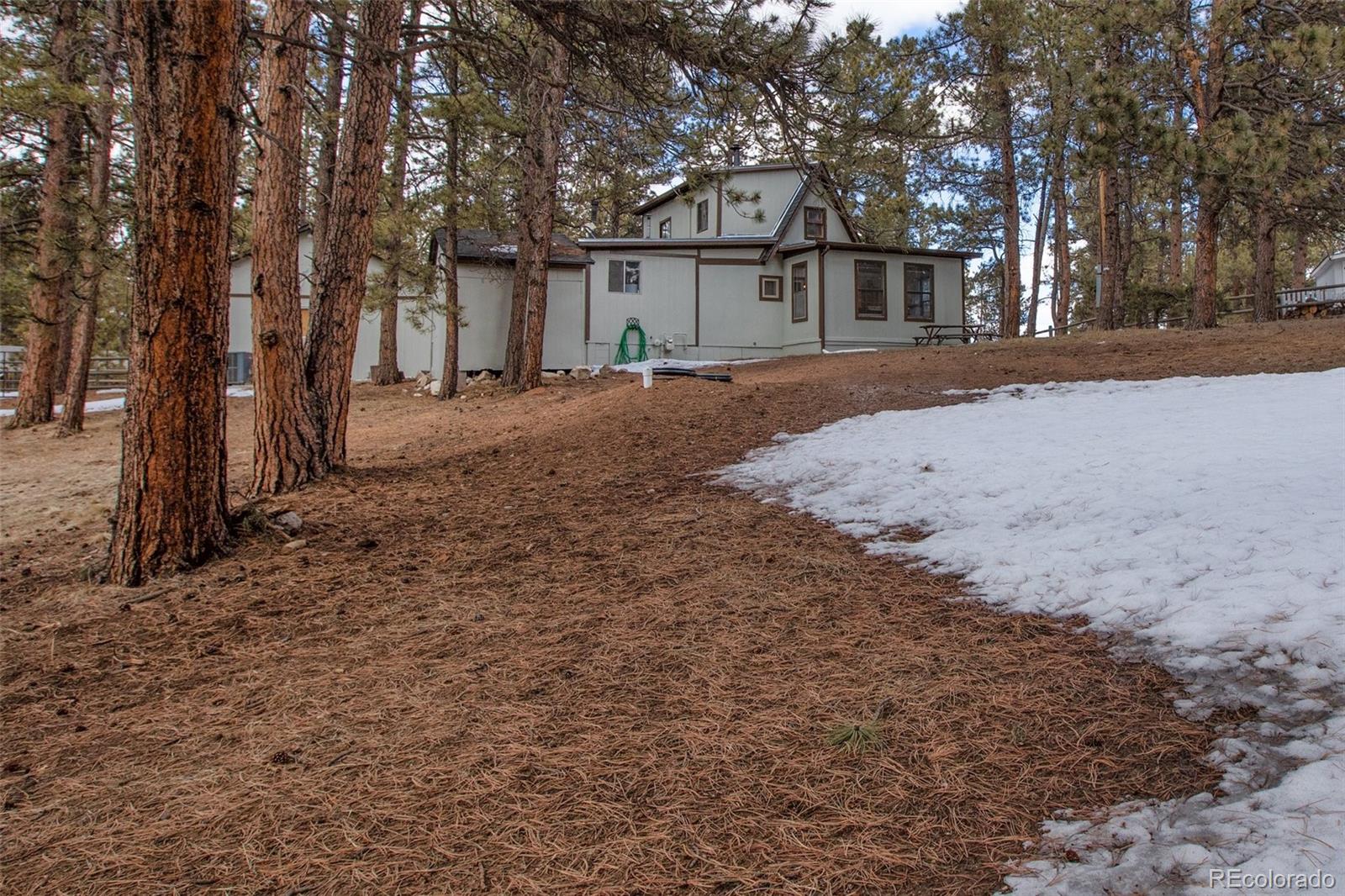 MLS Image #4 for 26  homestead lane,florissant, Colorado