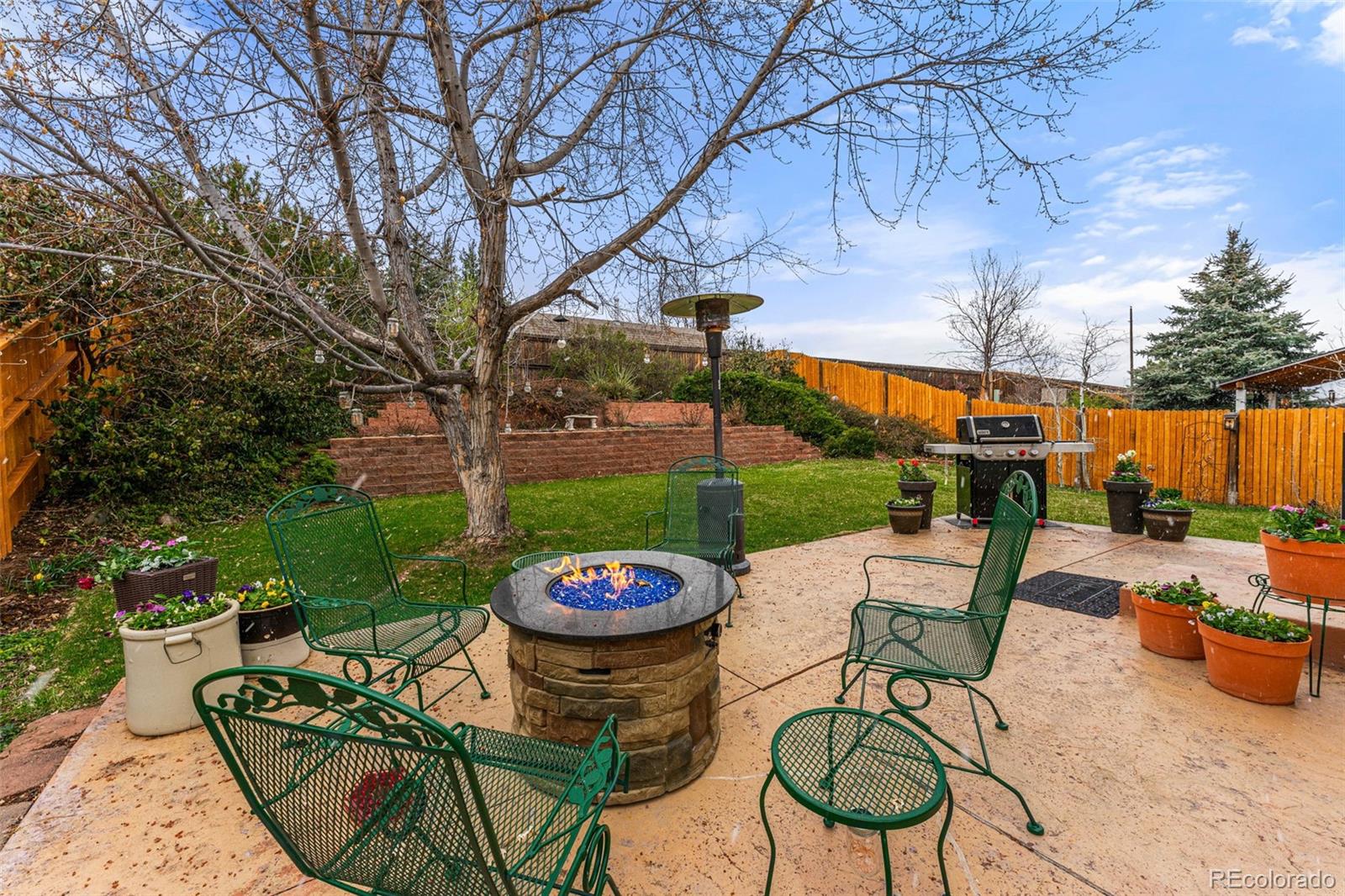 MLS Image #31 for 851  bartlett street,castle rock, Colorado