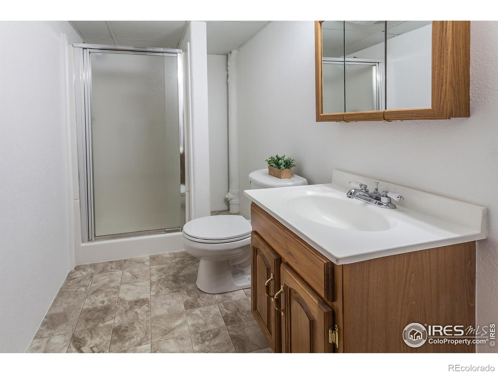 MLS Image #23 for 2106  tristi court,johnstown, Colorado