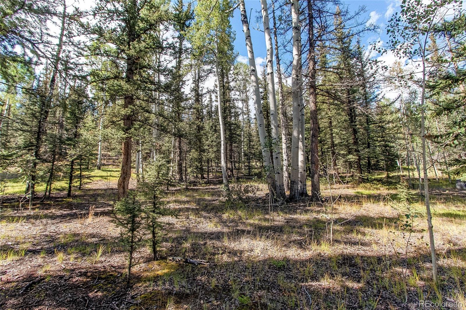 MLS Image #29 for 249  mcdowell drive,jefferson, Colorado