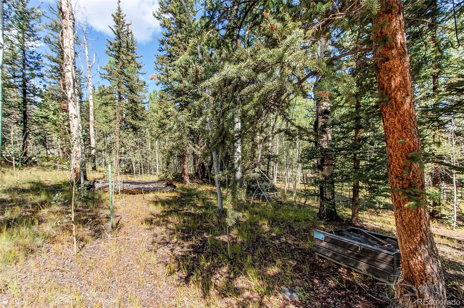 MLS Image #31 for 249  mcdowell drive,jefferson, Colorado