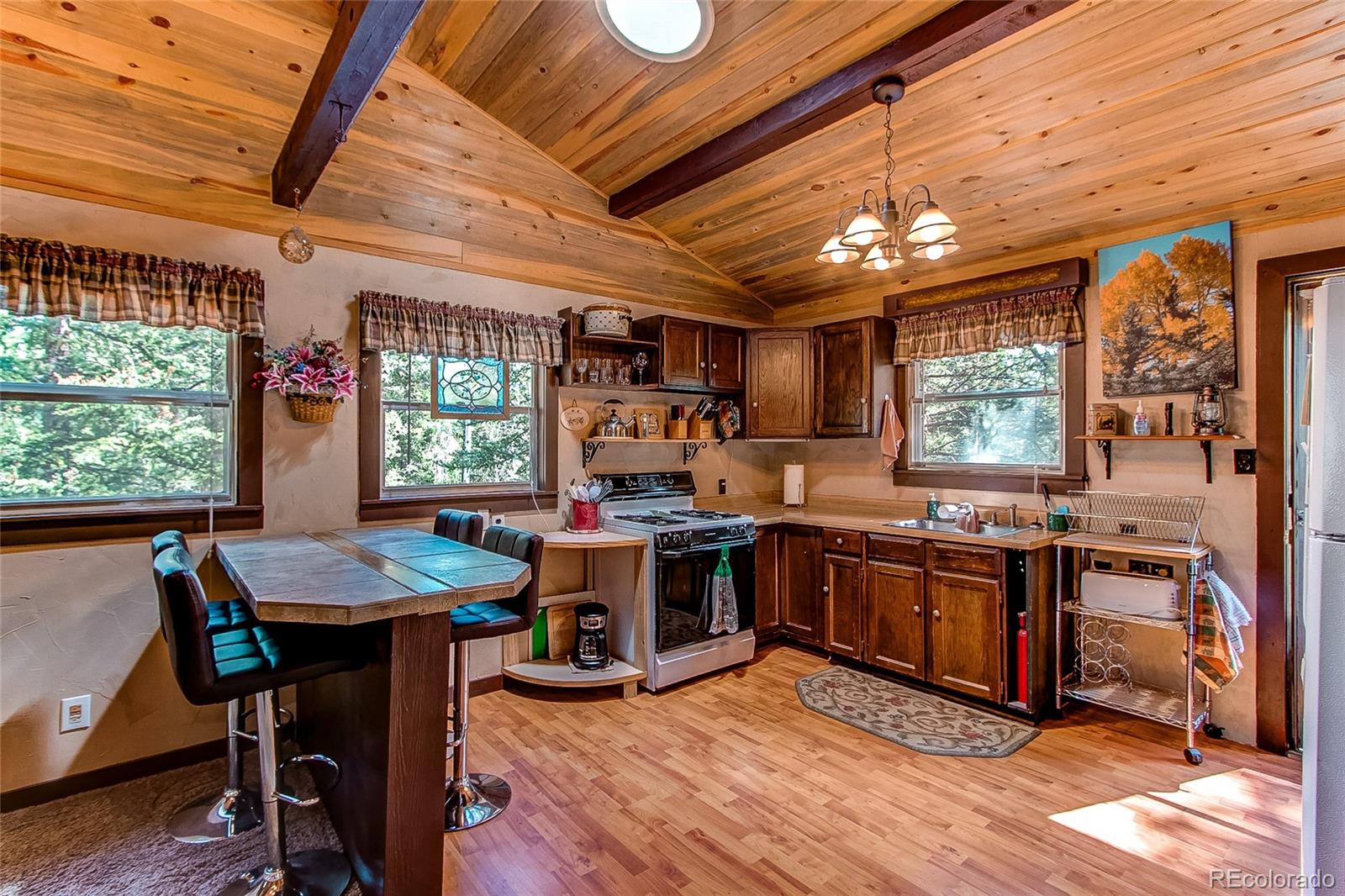 MLS Image #4 for 249  mcdowell drive,jefferson, Colorado