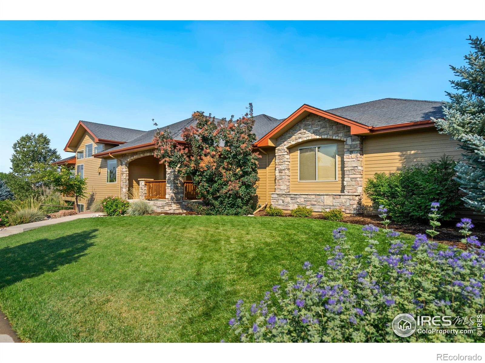 Report Image for 1114  Turnstone Lane,Fort Collins, Colorado