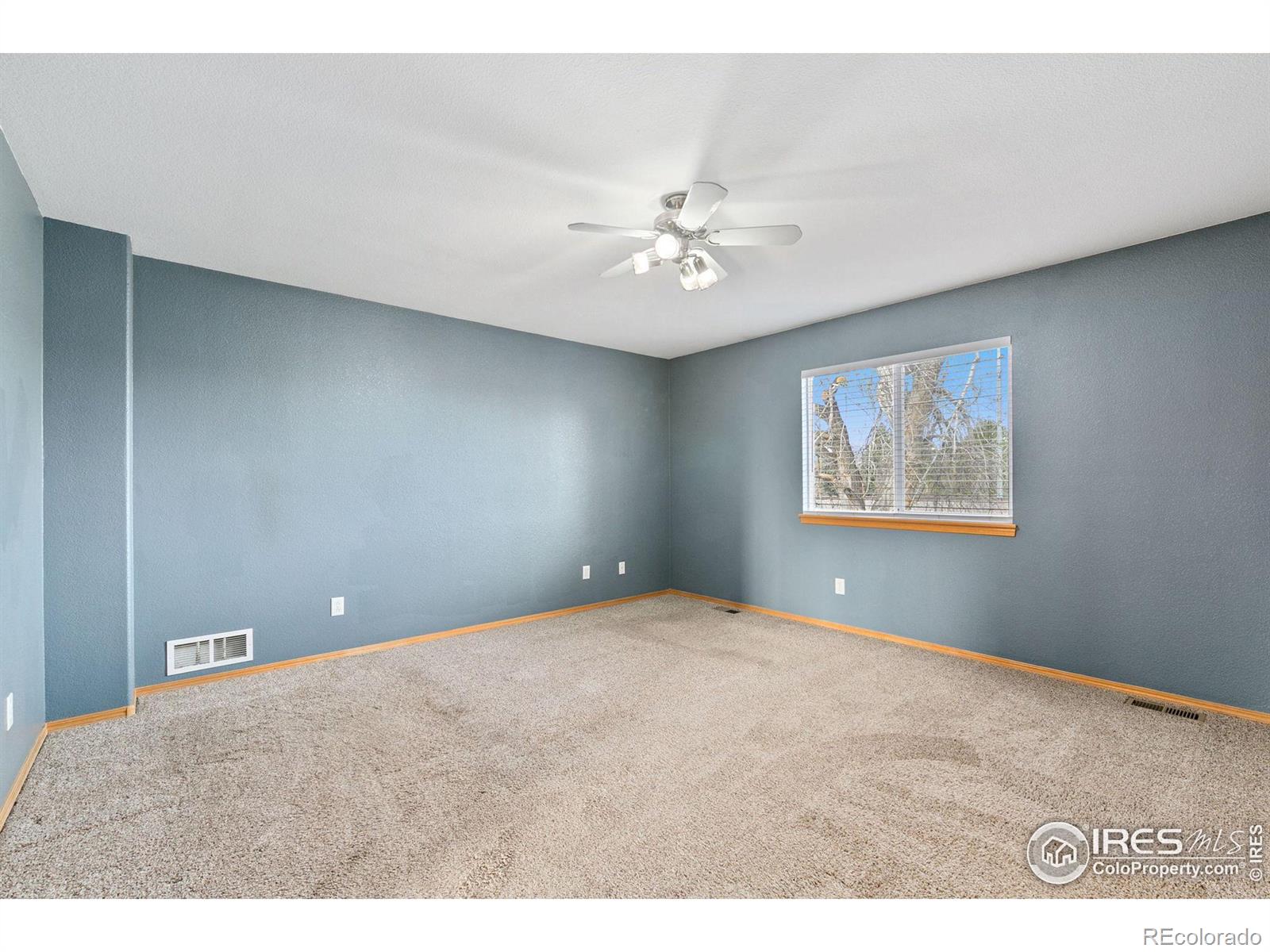 MLS Image #13 for 1800  angelo court,fort collins, Colorado