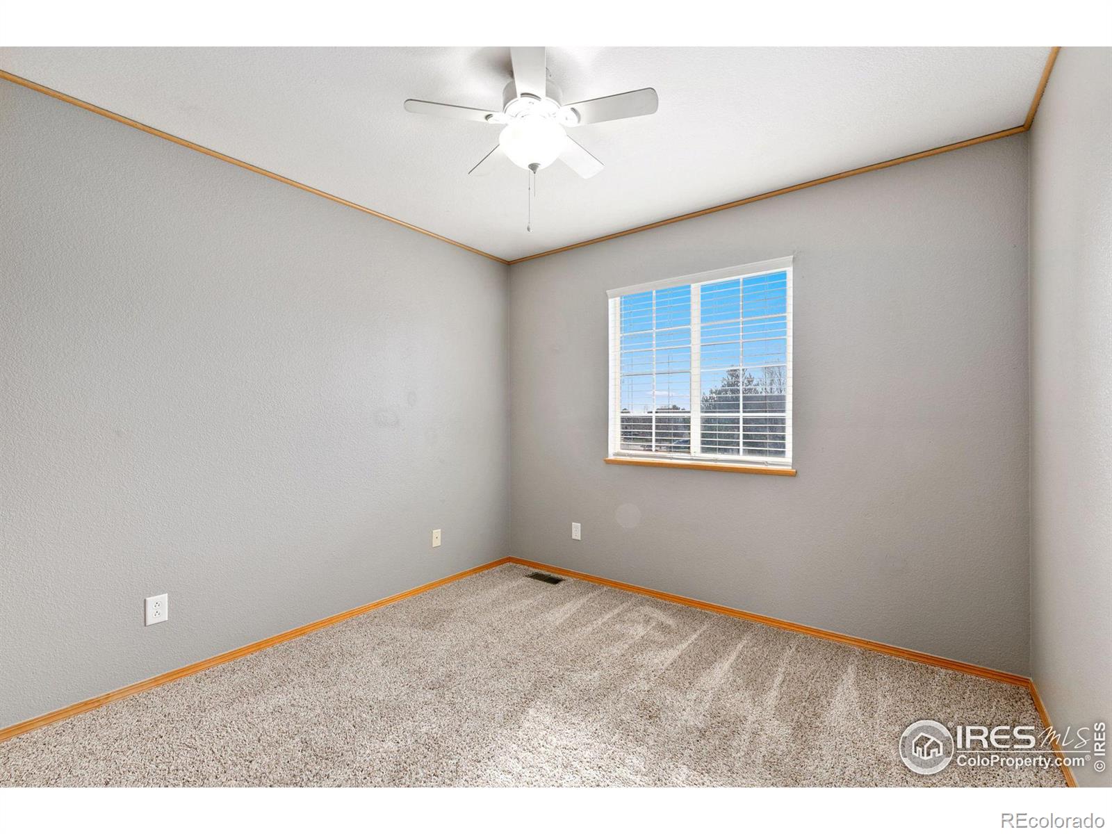 MLS Image #18 for 1800  angelo court,fort collins, Colorado