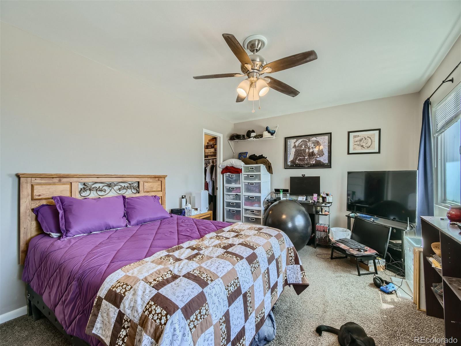 MLS Image #16 for 2486  rainbow drive,denver, Colorado