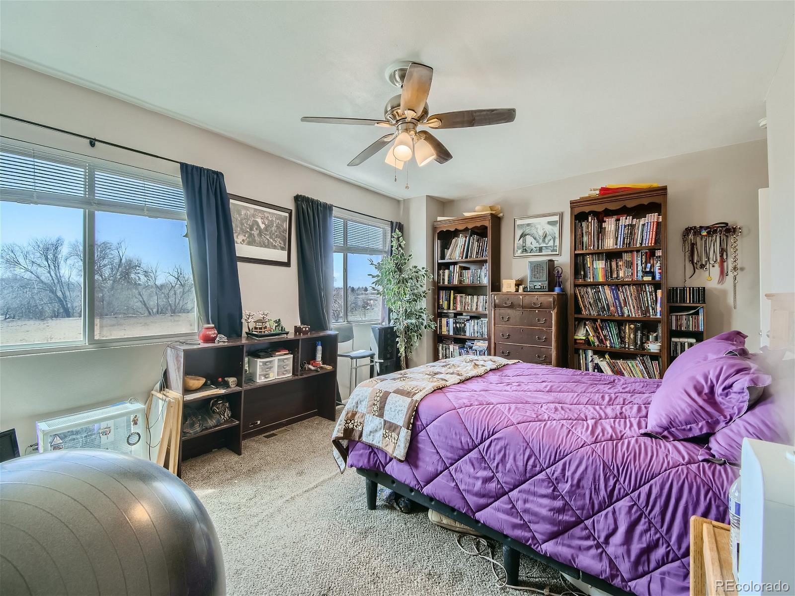 MLS Image #18 for 2486  rainbow drive,denver, Colorado