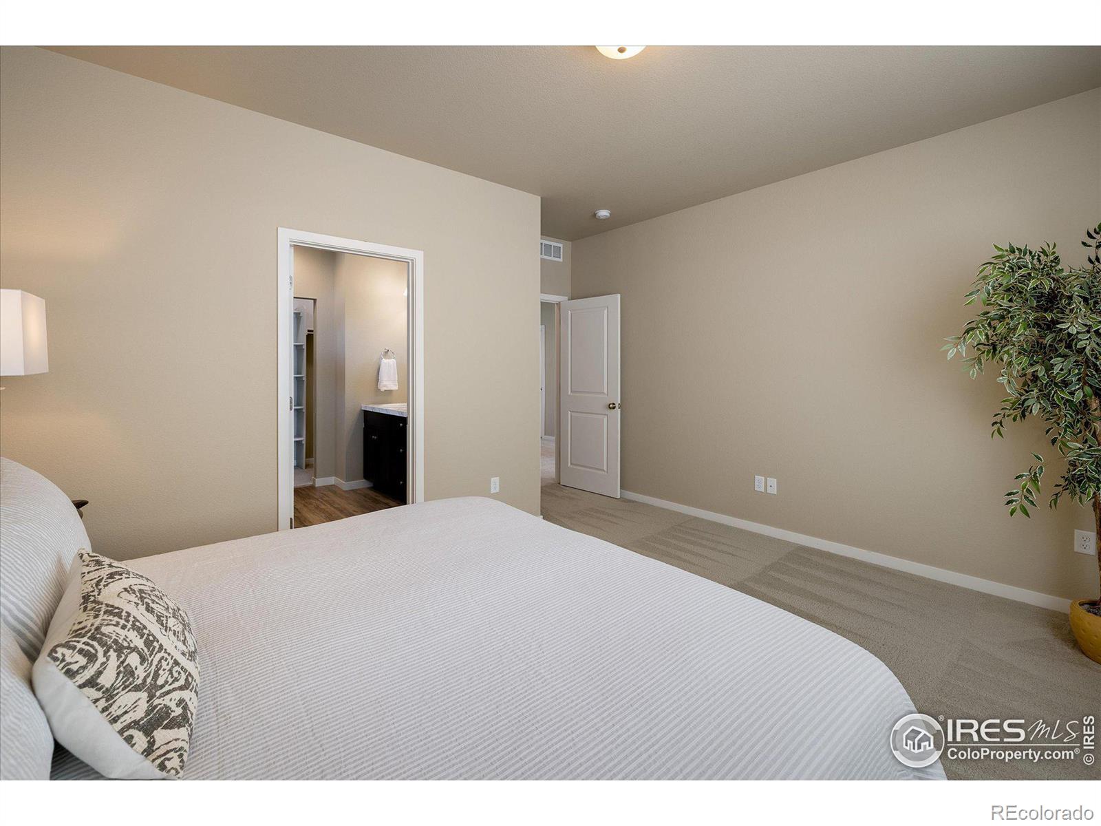 MLS Image #12 for 7623  horsechestnut street,wellington, Colorado