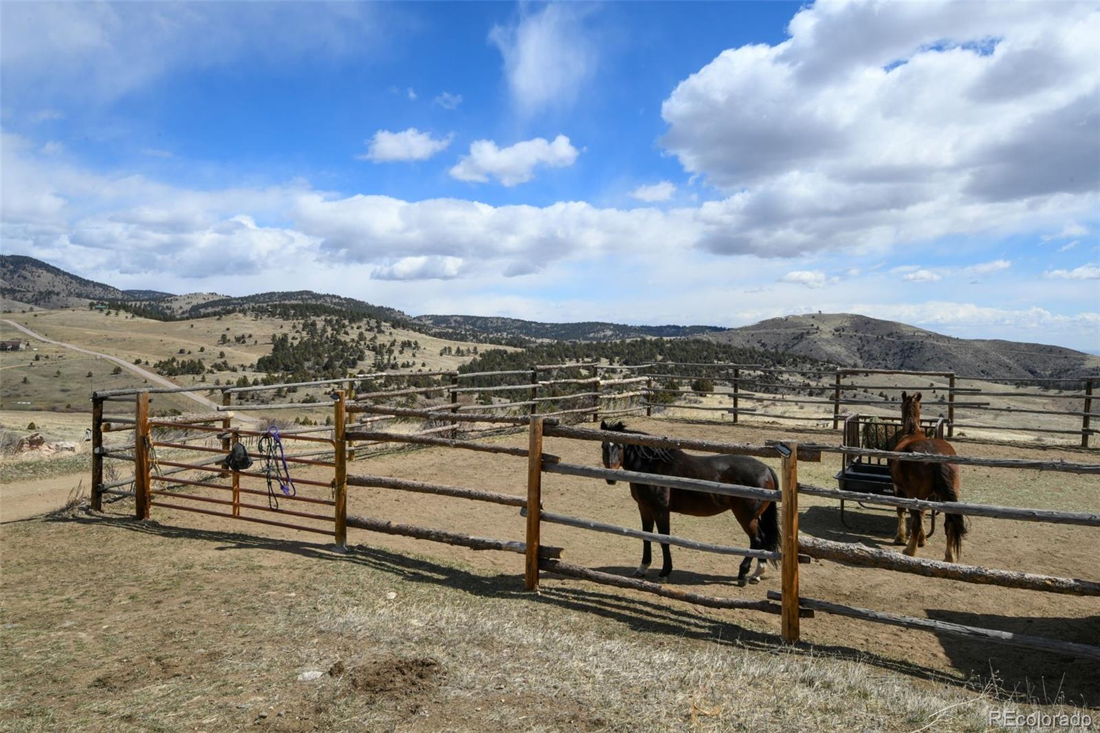 MLS Image #44 for 31081  harkwood run trail,golden, Colorado