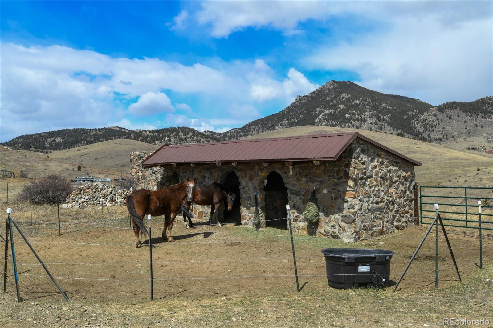 MLS Image #48 for 31081  harkwood run trail,golden, Colorado