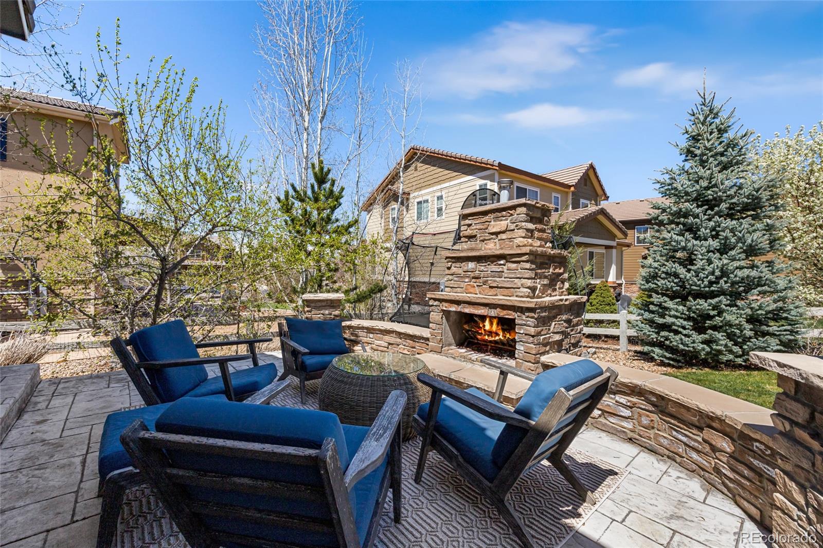 MLS Image #35 for 575  meadowleaf lane,highlands ranch, Colorado