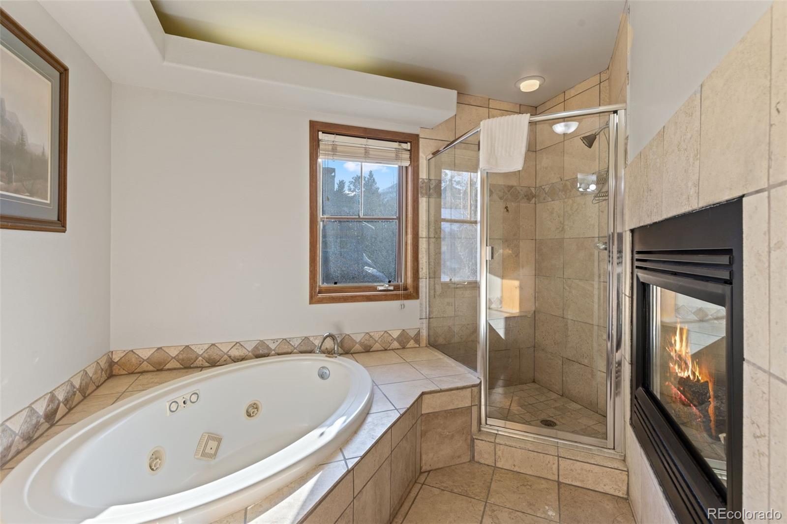 MLS Image #15 for 43  snowflake drive,breckenridge, Colorado