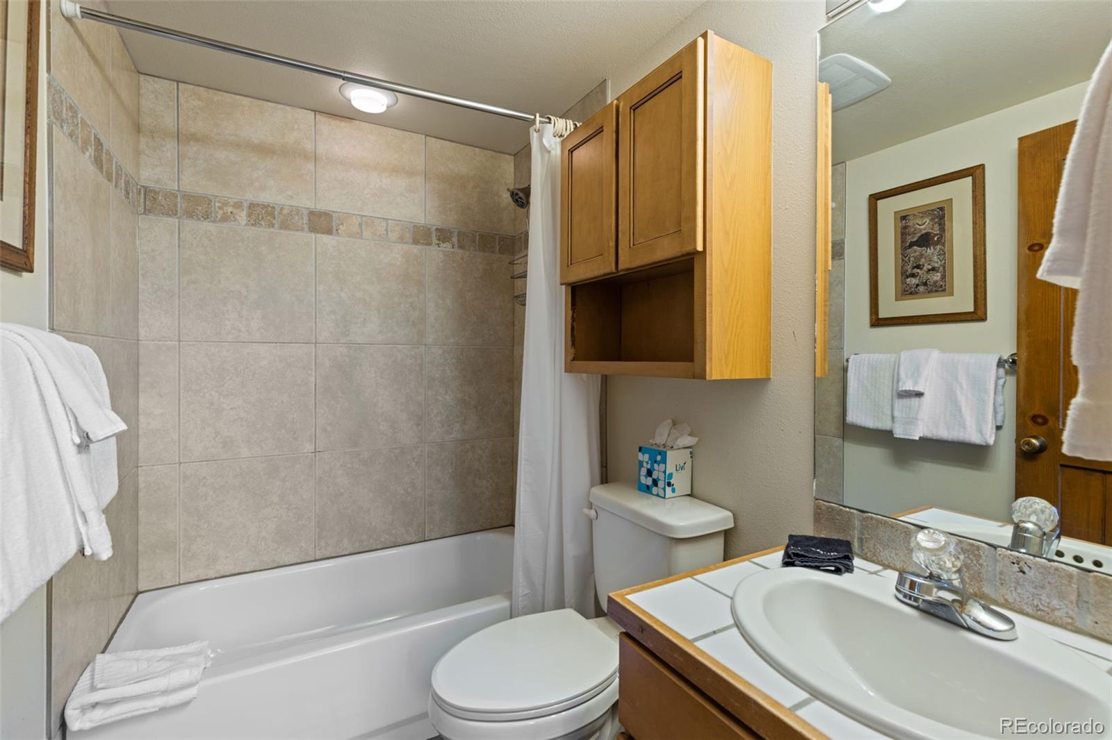 MLS Image #21 for 43  snowflake drive,breckenridge, Colorado