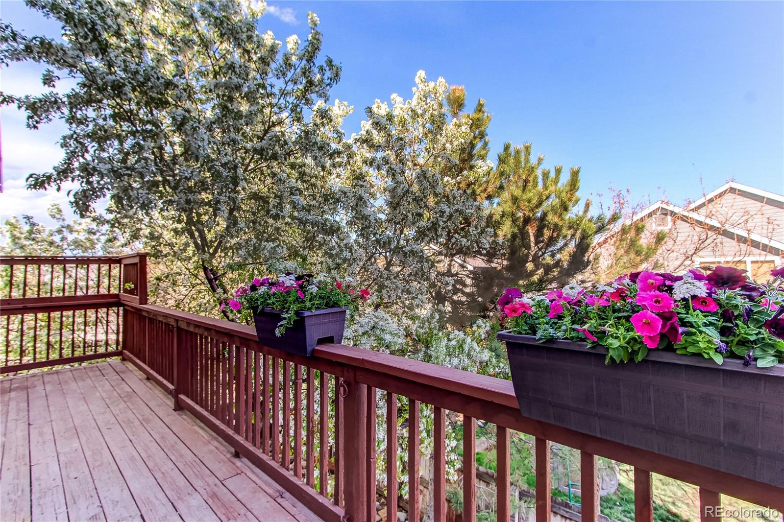 MLS Image #18 for 11206  jordan court,parker, Colorado