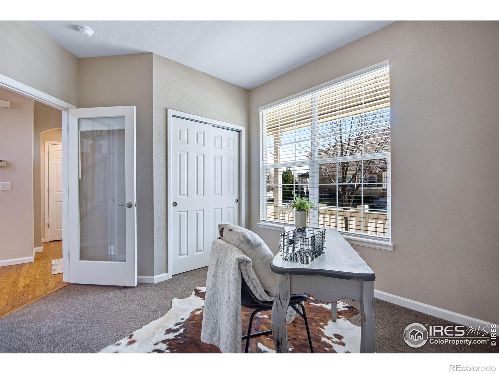 MLS Image #6 for 5109  southern cross lane,fort collins, Colorado