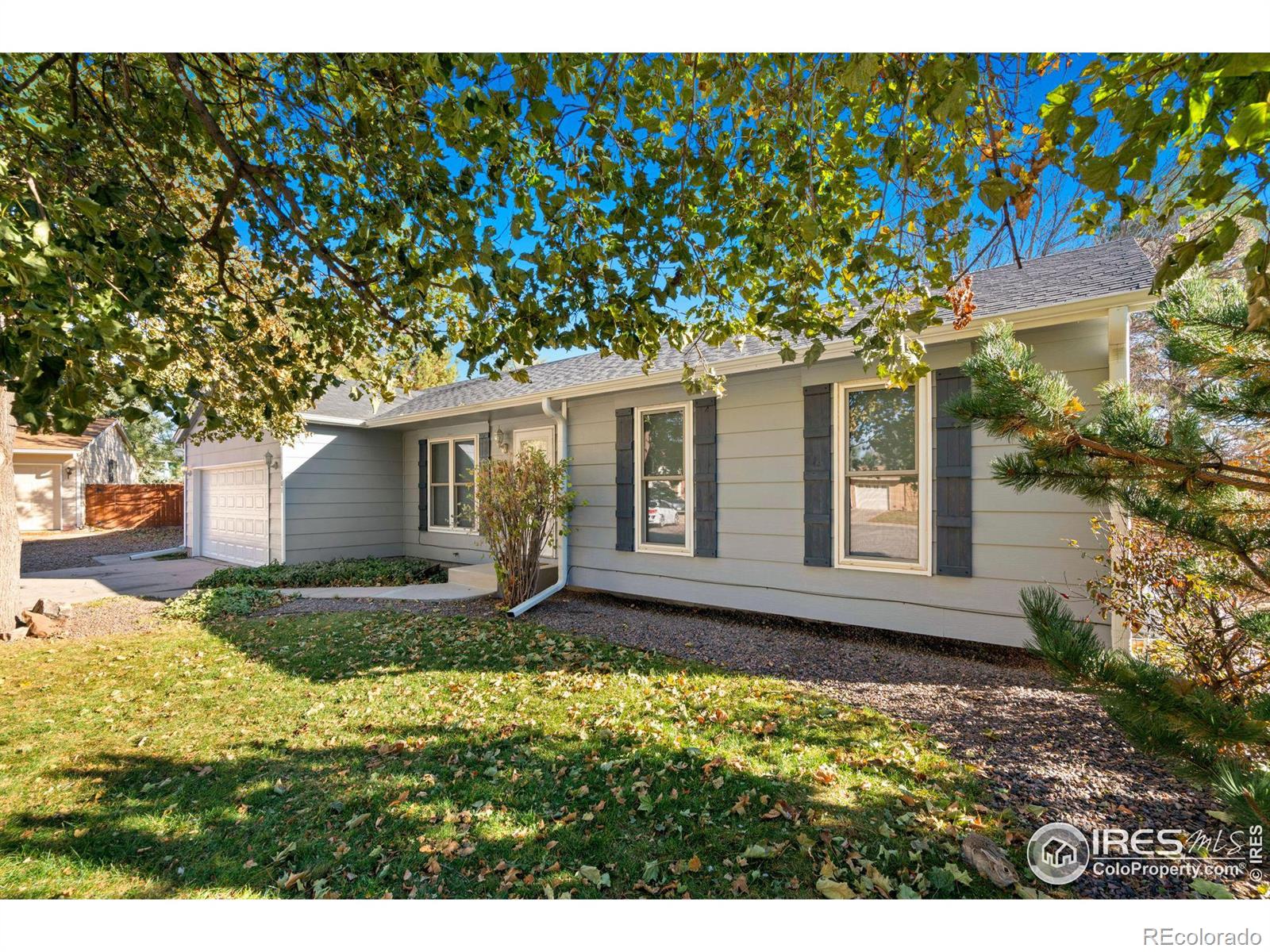 MLS Image #26 for 608  avante court,lafayette, Colorado