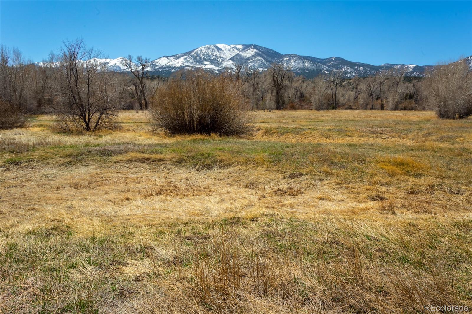 MLS Image #39 for 109  m and m lane,salida, Colorado