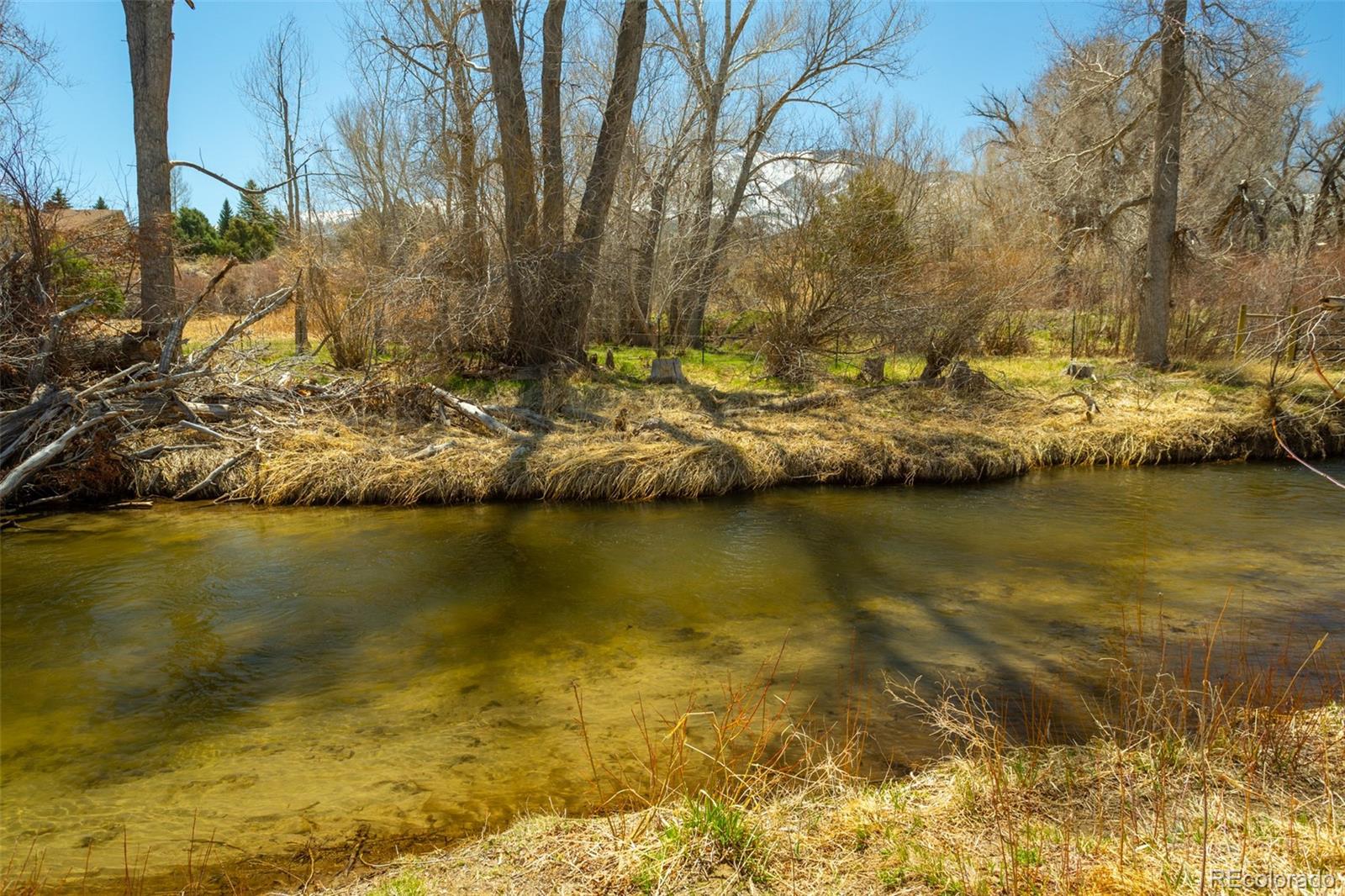 MLS Image #42 for 109  m and m lane,salida, Colorado