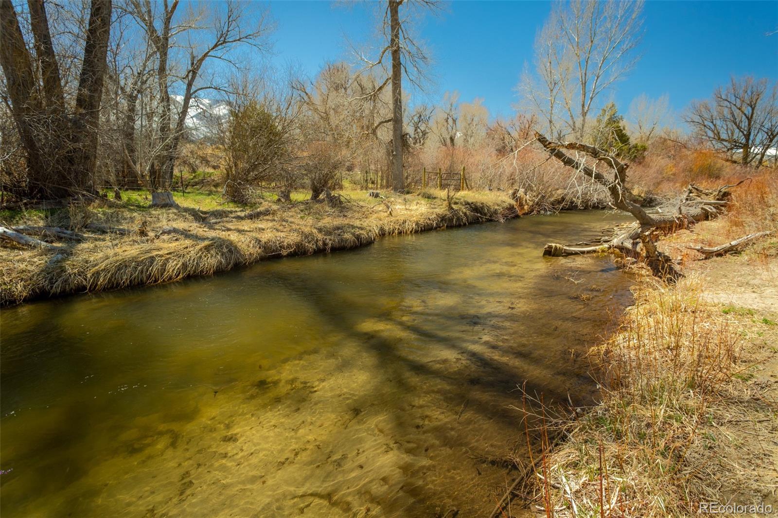 MLS Image #43 for 109  m and m lane,salida, Colorado