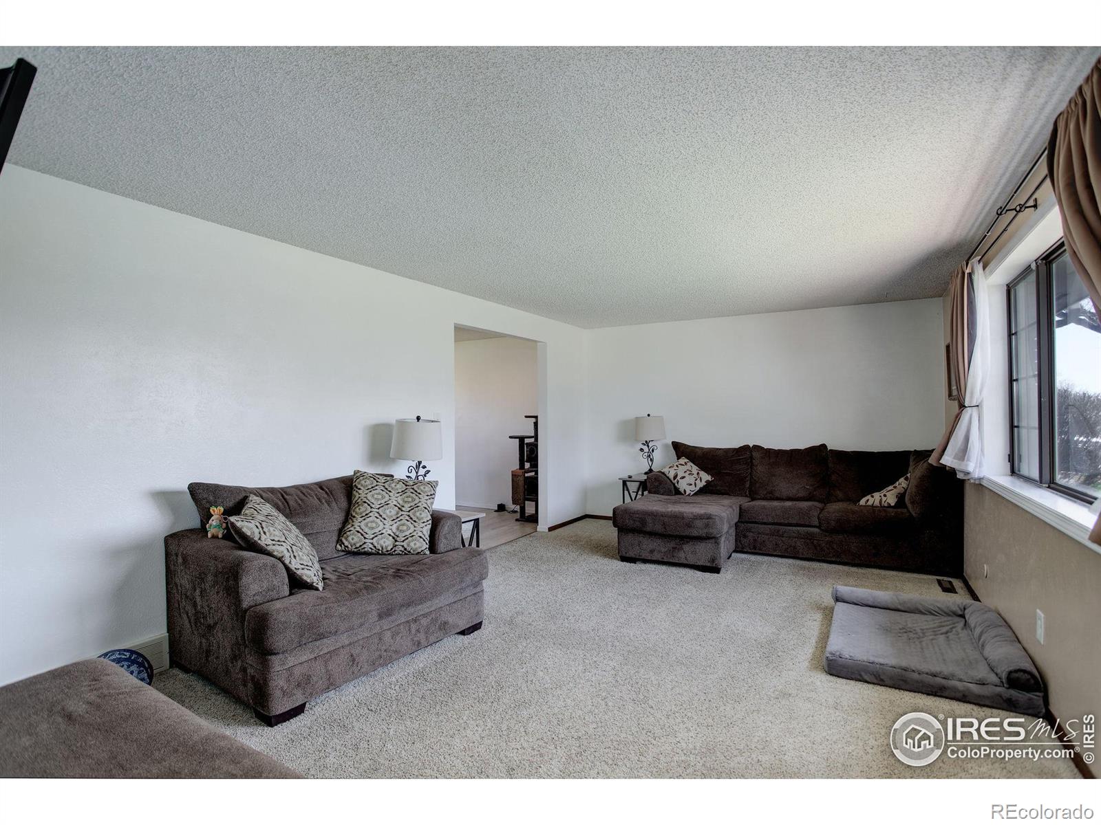 MLS Image #3 for 1558  juniper street,longmont, Colorado