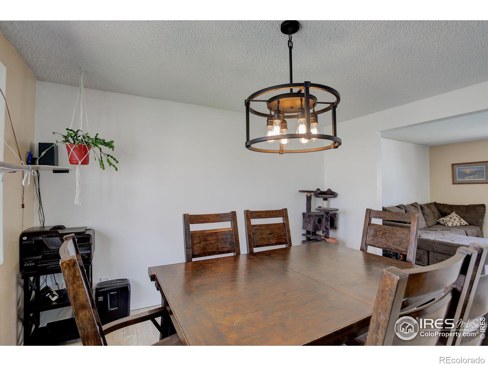 MLS Image #5 for 1558  juniper street,longmont, Colorado