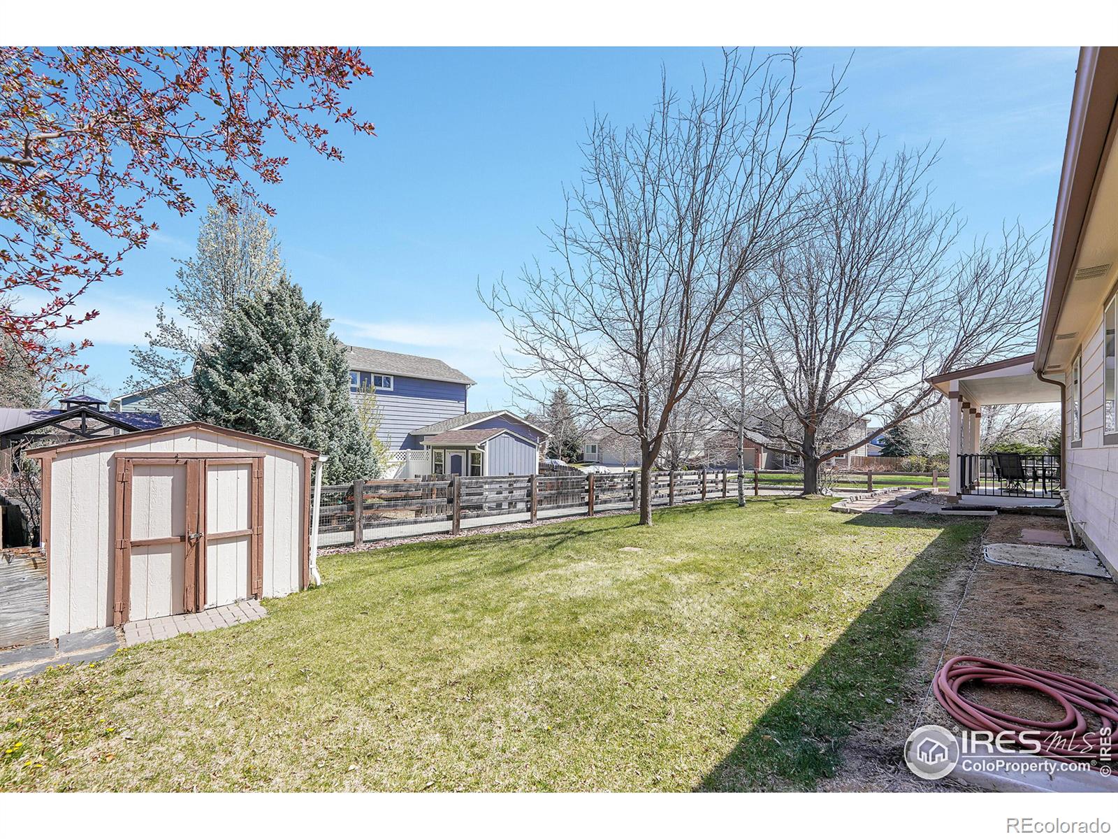 MLS Image #6 for 393  harvest point drive,erie, Colorado