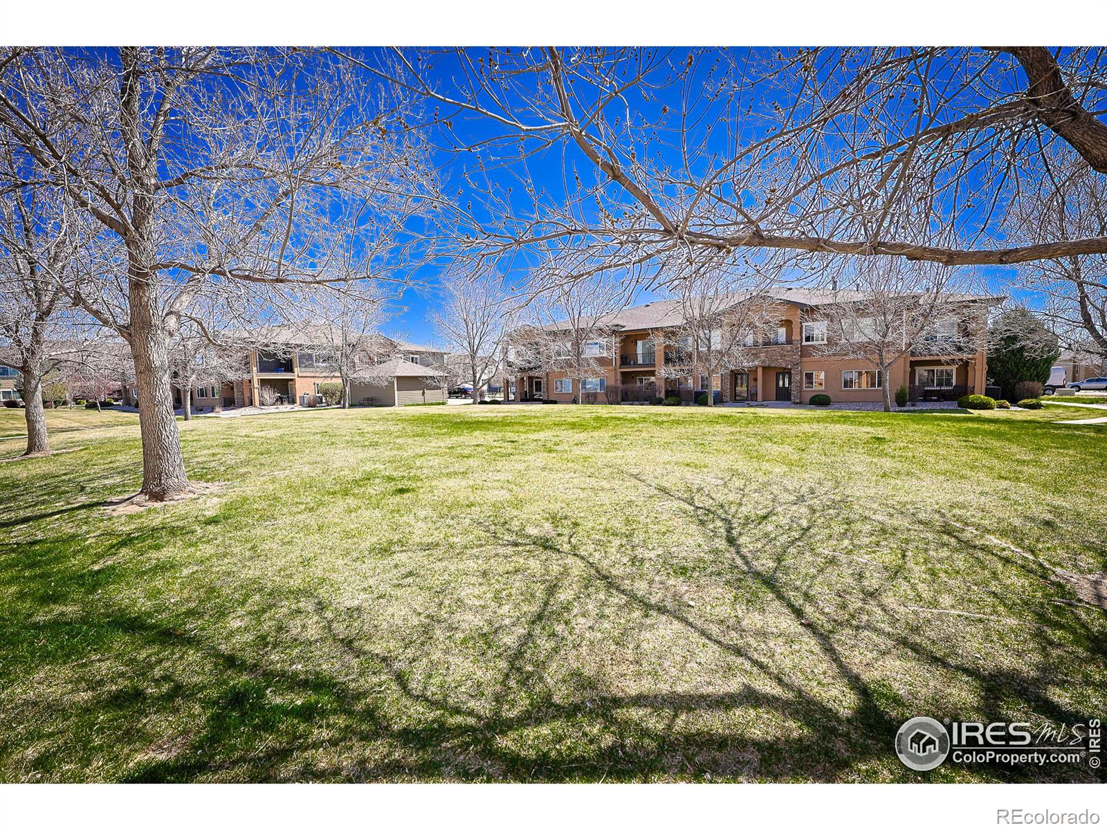 Report Image for 1138  Olympia Avenue,Longmont, Colorado