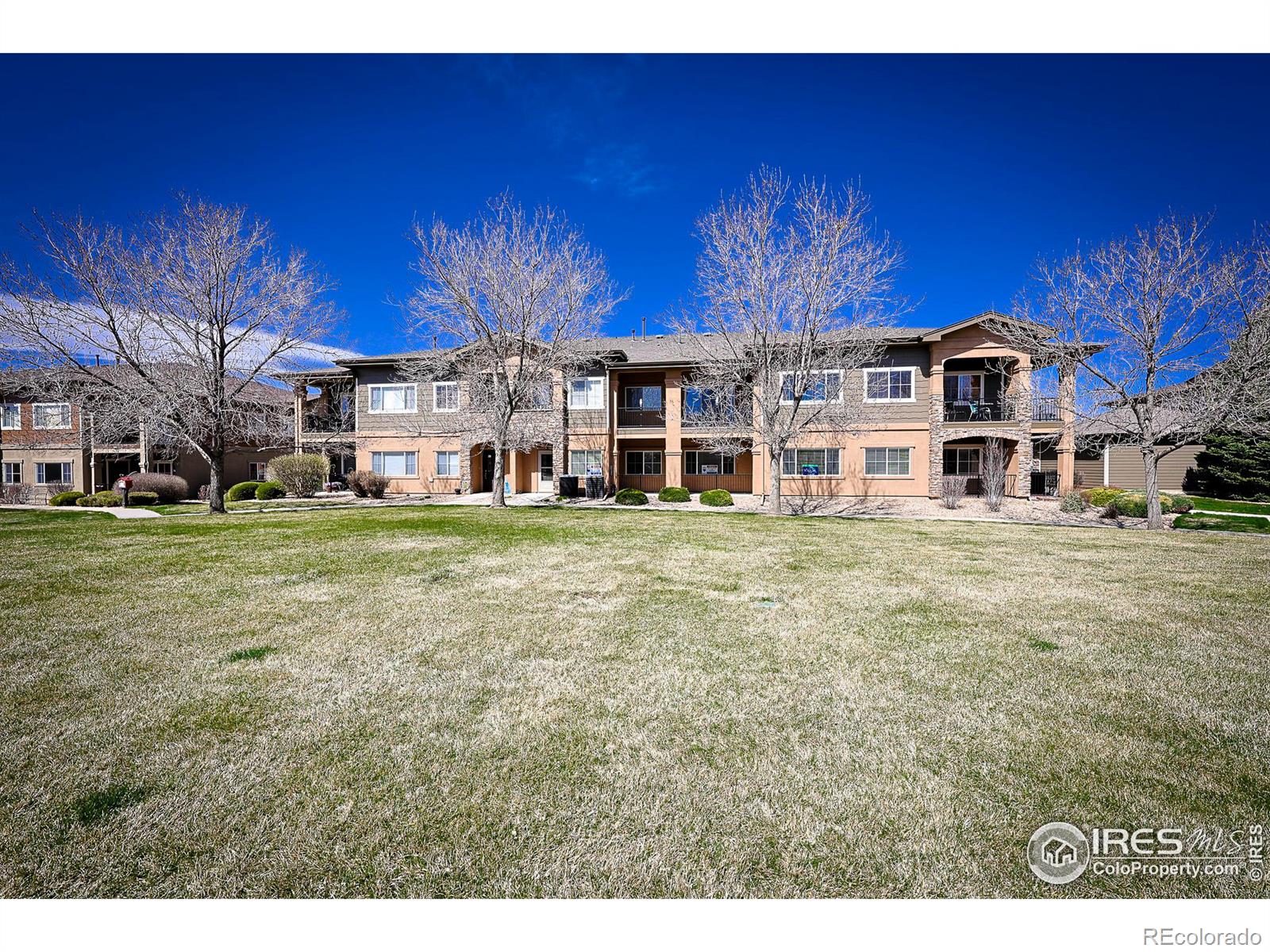 MLS Image #17 for 1138  olympia avenue,longmont, Colorado