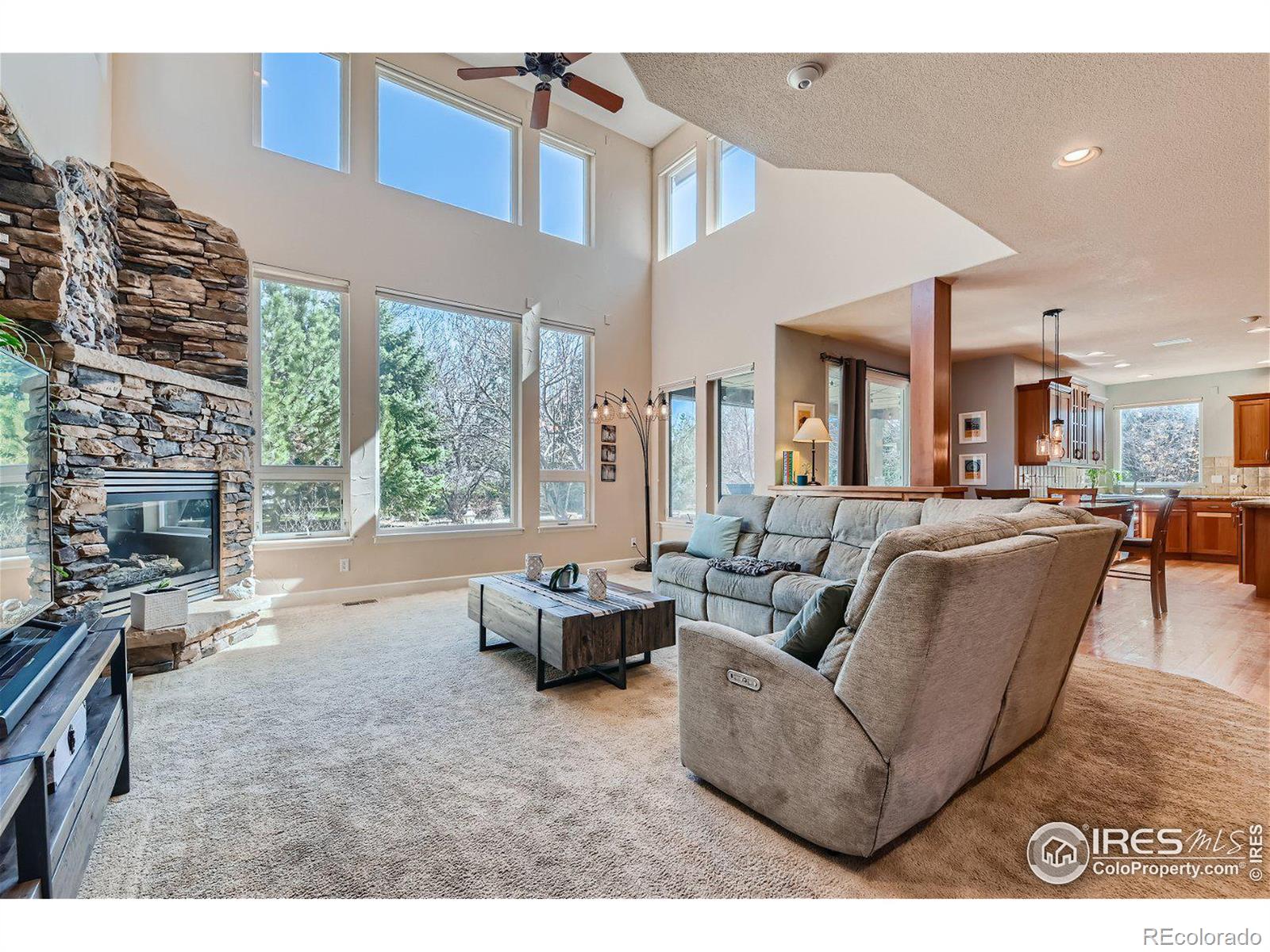 MLS Image #11 for 1315  onyx circle,longmont, Colorado