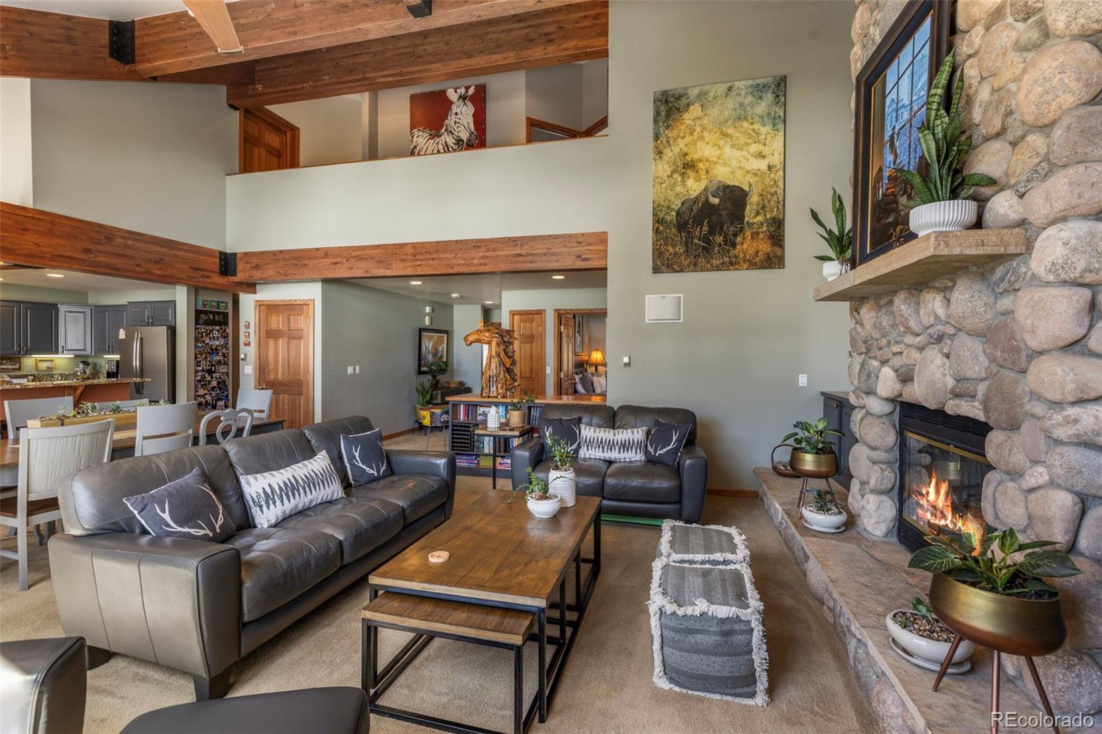 MLS Image #10 for 46  potentilla lane,keystone, Colorado